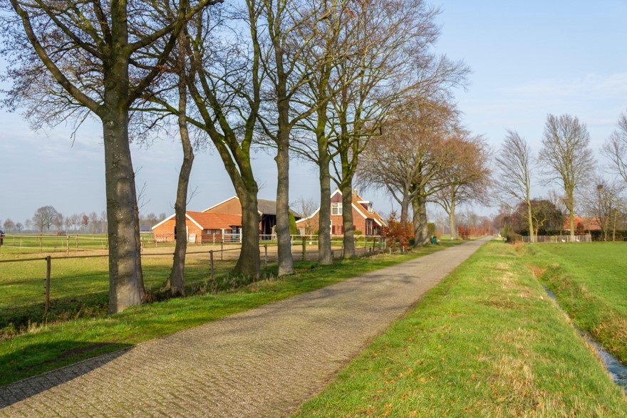 Straat in het buitengebied met in de verte een boerderij met schuren. Aan de linkerkant en rechterkant van de weg liggen weilanden. Zie bijschrift onder de afbeelding